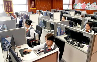 政企民共商，服務(wù)再升級(jí)——市區(qū)政務(wù)服務(wù)局召開企業(yè)咨詢服務(wù)專題調(diào)研會(huì)